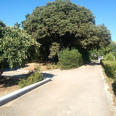 Lidija Appartement